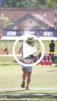 BIB:  <button type="button" onclick="openModal(26562808)" class="btn btn-primary btn-sm float-right" data-toggle="modal" data-target=".modal-high-quality">
                <i class="fa fa-download"></i> Download
                </button>